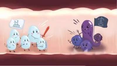 小小健能益生菌,小小益生菌测评