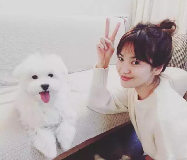 宋慧乔发型哪款好看,宋慧乔全智贤斩男