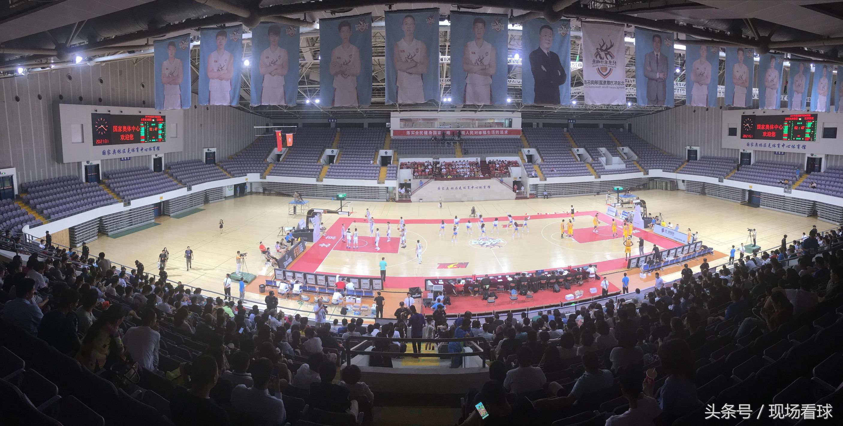 nbl雄鹿,nbl北京东方雄鹿阵容