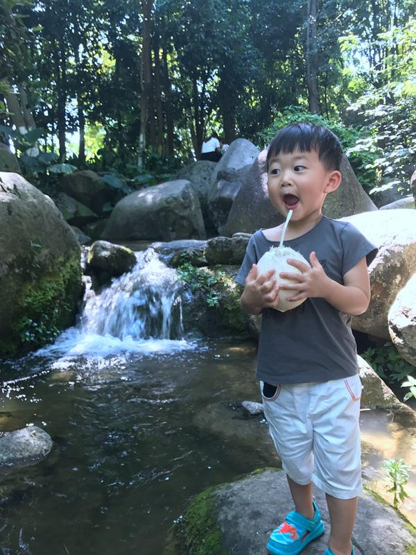 去桂林如何最省钱的玩,一家三口自己去桂林旅游