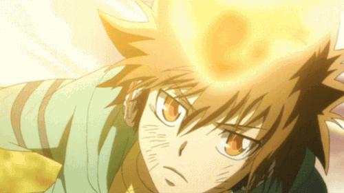 合集！30部热血+战斗+后宫的动画，有哪些值得你再追一遍？（附看片去处）