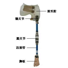 假肢装配后功能训练有哪些,假肢组装过程视频