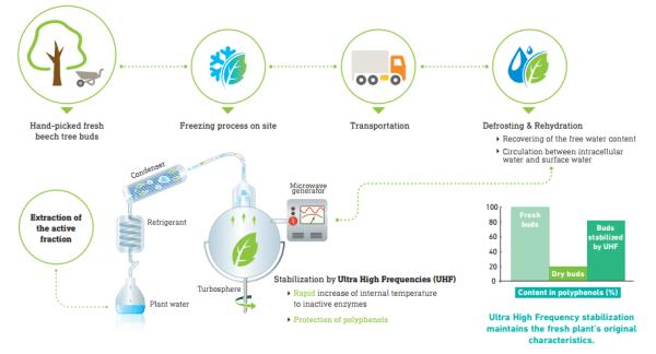 赫莲娜小绿瓶有味道吗 (赫莲娜小绿瓶和红腰子)