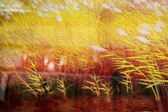 图说丨全世界都知道中国有一种非遗叫苏绣，女巧之红，十指春风