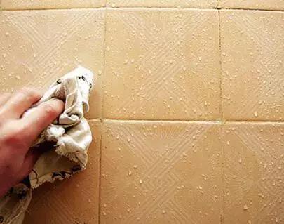 水槽里出现这种像蚂蟥的软体虫，真的得关注了！