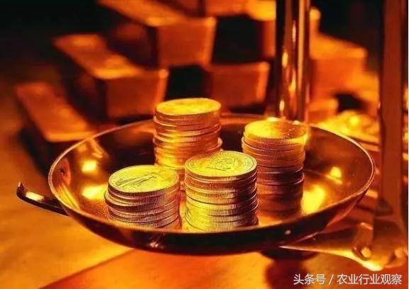 身价能过千万！看看这些养殖人的商业模式如何玩