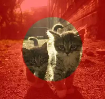 如何用ps蒙版功能练线条,如何用ps蒙版抠图