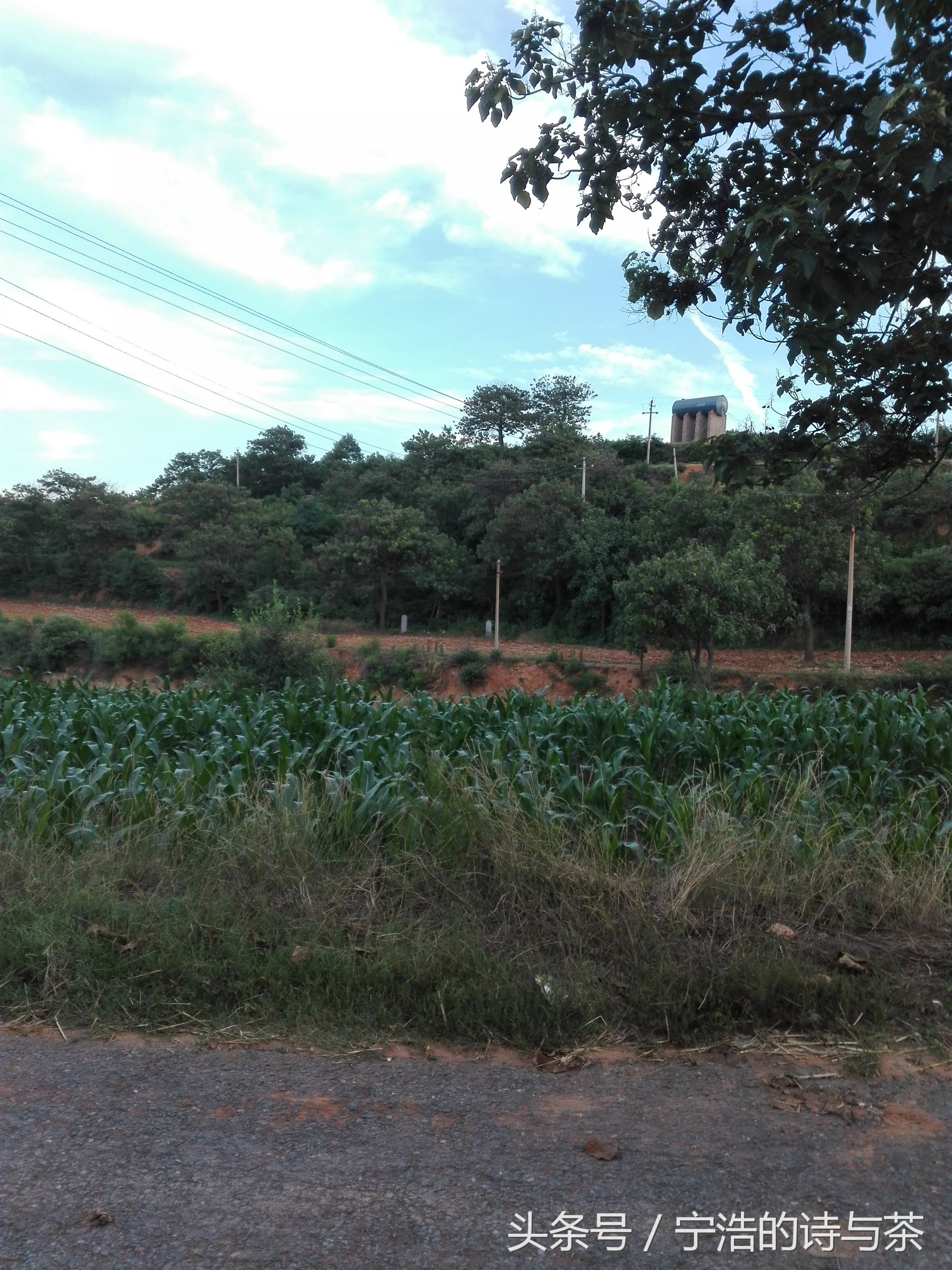 那土坯小屋里的惊魂一夜蝎子蛰伏在我头顶瓦片上