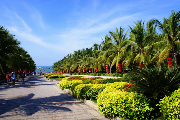 三亚旅游防蚊虫攻略,三亚防宰攻略详细