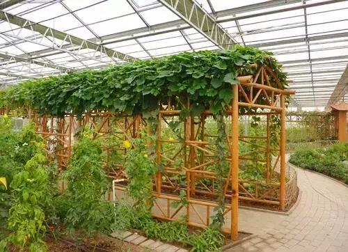 躺着赚钱的农村创富项目汇总，不费吹灰之力！