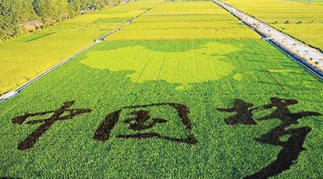 干农业怎么办最有效,干农业如何贷款