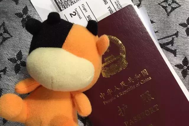 在新加坡吃日本料理,新加坡美食之旅