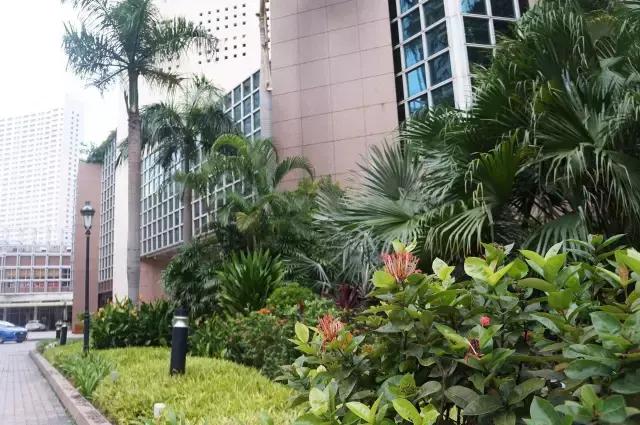 在新加坡吃日本料理,新加坡美食之旅