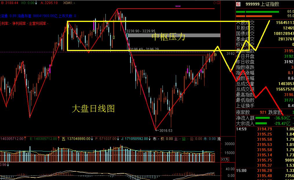 南国置业股票2024最新分析,002305南国置业最新点评