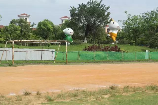 城事｜新公园要来了！打造市桥河“一河两岸”生态景观！为番禺街坊增添漫步、运动好去处！