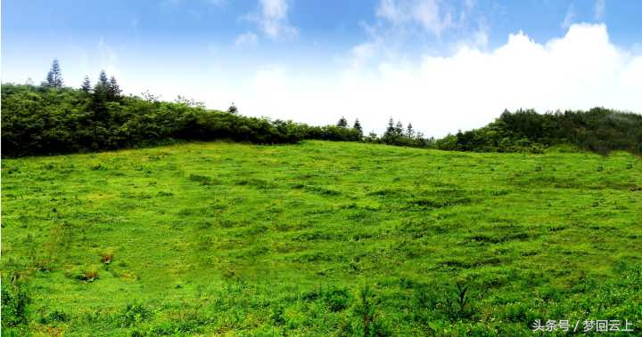 精彩不断，就等你来！中国首届高山骑跑节暨第二届乡村旅游文化节7月29日-31日在重庆黔江水市乡举行