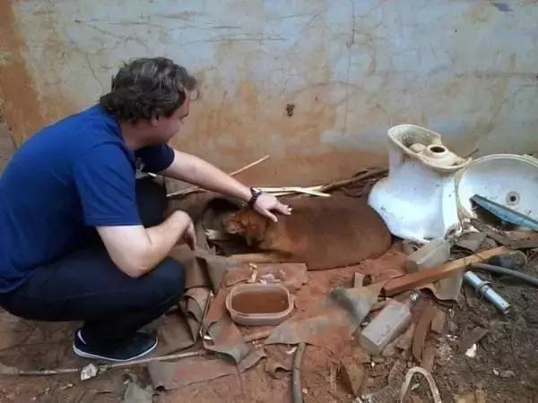 足球ps版,把足球p成猫