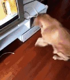 足球ps版,把足球p成猫