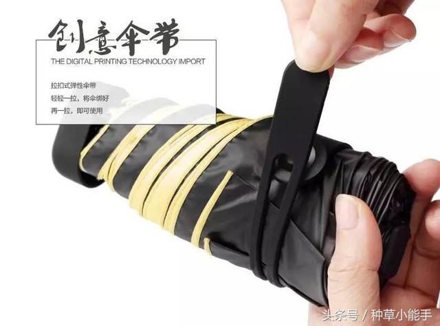 草单：翻包！我的日常包包里究竟装着什么？