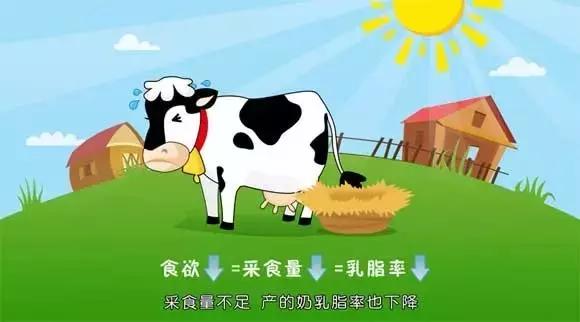 怀疑买到假奶粉要找哪个投诉,怀疑自己买到假奶粉了怎么办