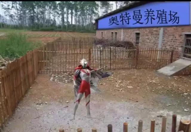 迪士尼喜茶什么好喝,上海迪士尼喜茶在哪里