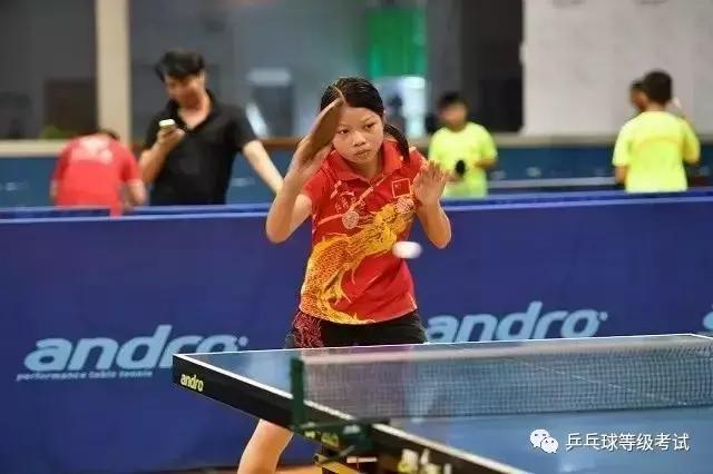 江门24名国球小将勇获乒乓球等级赛江门赛区“共信赢杯”奖项