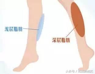 涨知识该做什么,涨知识的方法有哪些