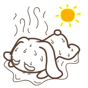 郫都室外游泳池,郫都区对外开放的游泳池