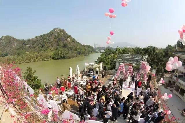 七星岩夏天的荷花图片,七星岩景区有荷花吗