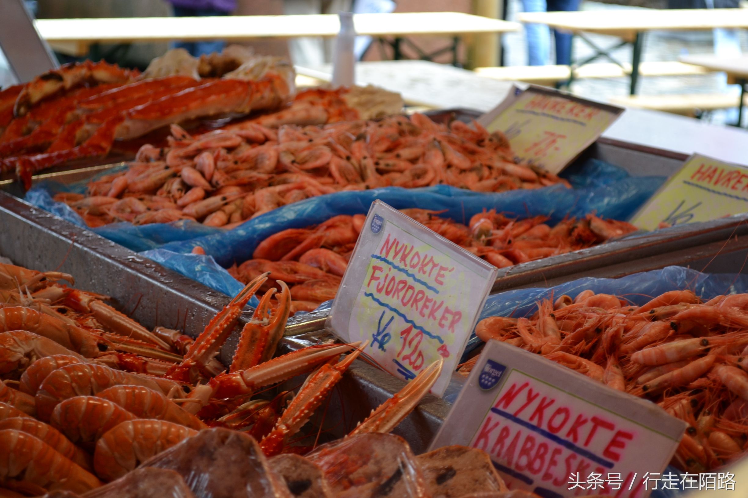 北欧最富裕的国家挪威 (挪威地处北欧世界最幸福国家之一)