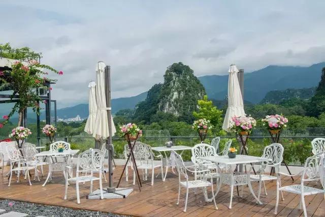 七星岩夏天的荷花图片,七星岩景区有荷花吗