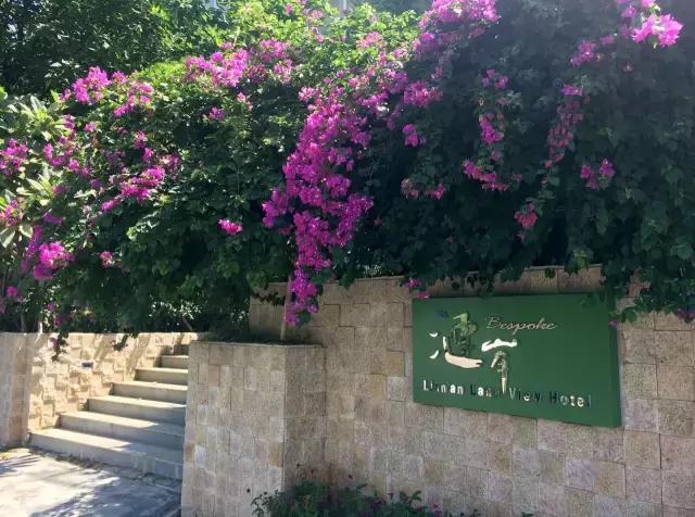 七星岩夏天的荷花图片,七星岩景区有荷花吗