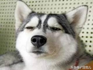 出国旅游第一站日本,出国日本旅游必备