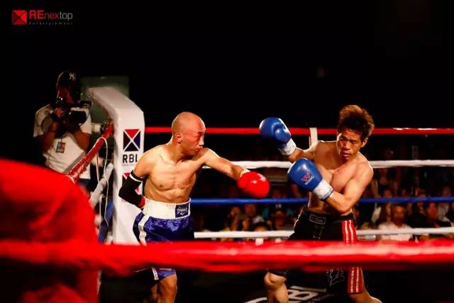 永不言弃交火,永不言弃拳击赛视频