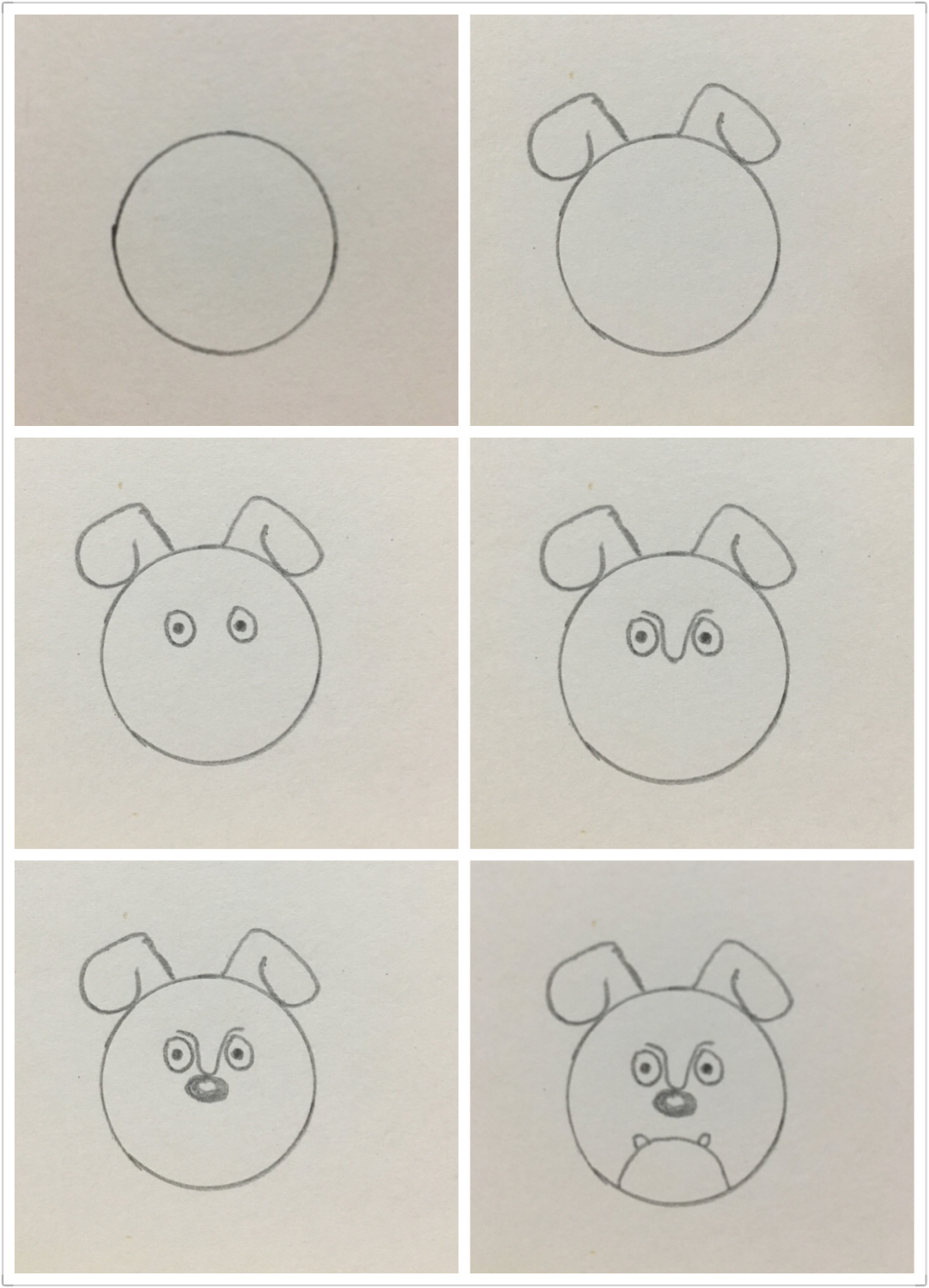 硬币画小羊简笔画,硬币画动物简笔画