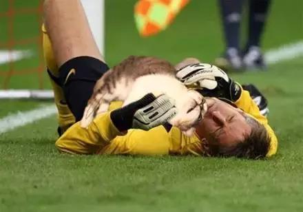 足球ps版,把足球p成猫