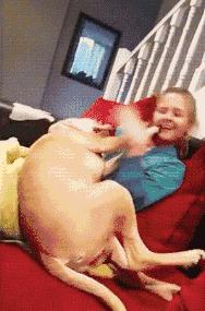 足球ps版,把足球p成猫