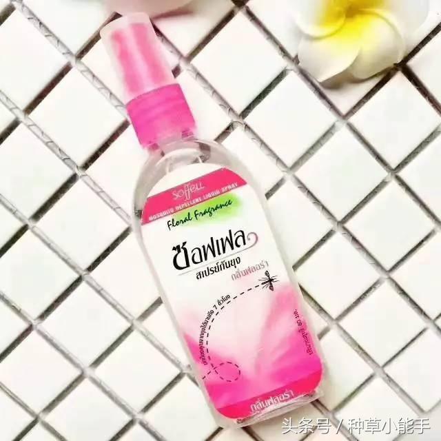 草单：翻包！我的日常包包里究竟装着什么？