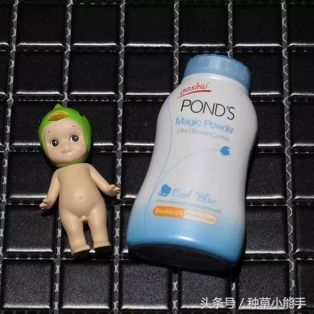 草单：翻包！我的日常包包里究竟装着什么？