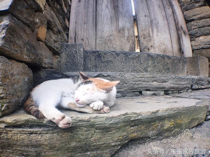 张家界凤凰4日游攻略,张家界凤凰五日游线路图片