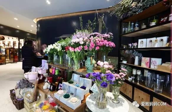 帝都美食记—邂逅来自爱败妈妈的美女Boss