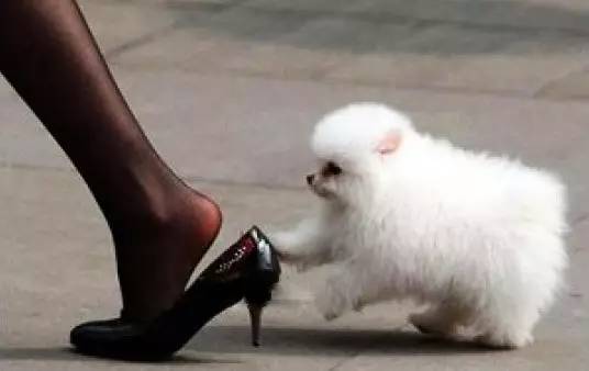 鞋子后跟老掉怎么办,鞋子大了老掉怎么搞