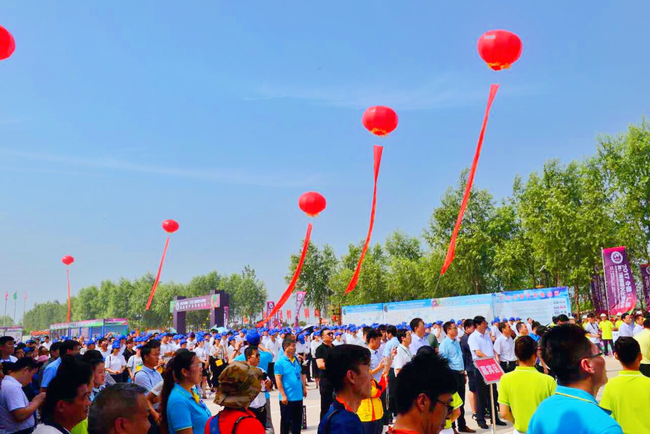 邢台广宗，葡萄王来了