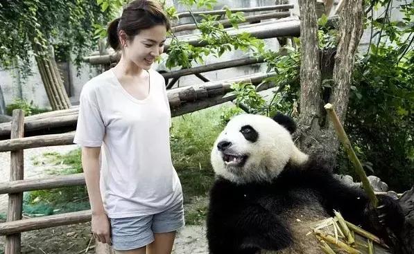 宋仲基宋慧乔为什么相处难,宋慧乔和宋仲基为什么会分开