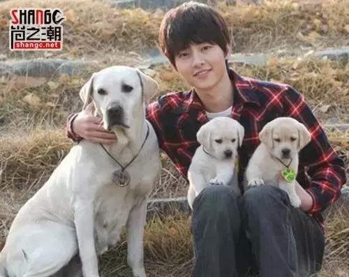 宋仲基宋慧乔为什么相处难,宋慧乔和宋仲基为什么会分开