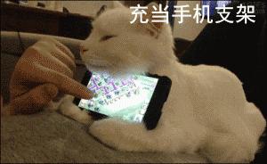 足球ps版,把足球p成猫