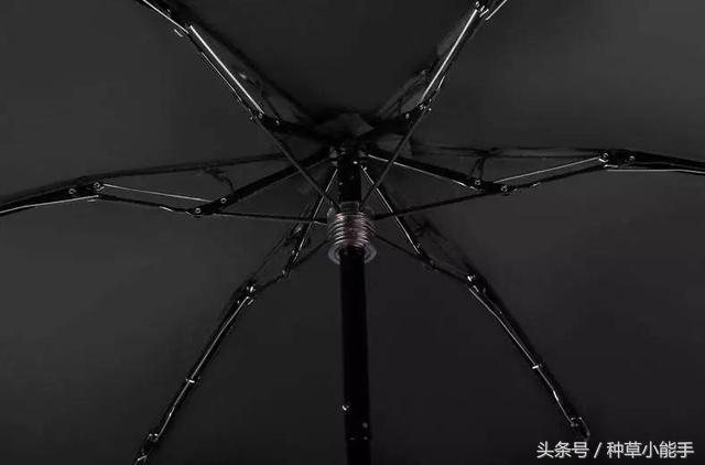 草单：翻包！我的日常包包里究竟装着什么？