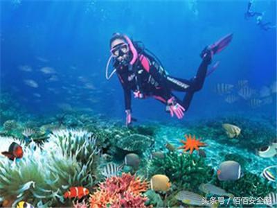 我们在潜水时该关注什么？