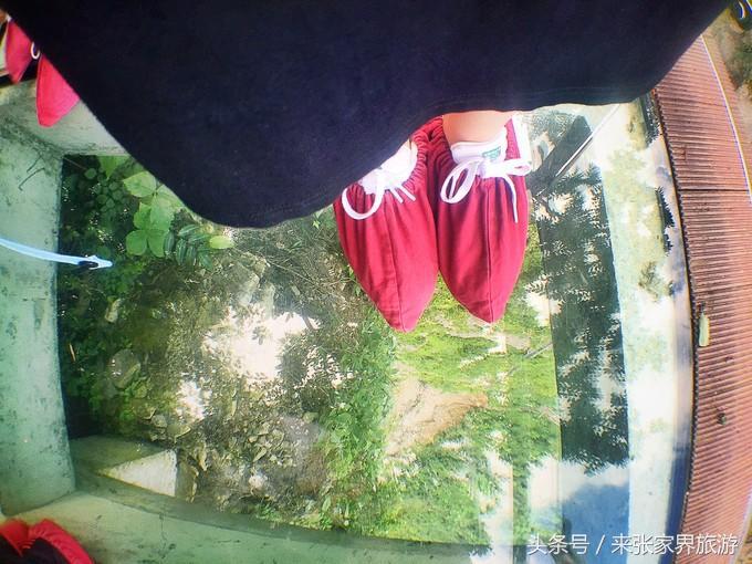 张家界凤凰4日游攻略,张家界凤凰五日游线路图片