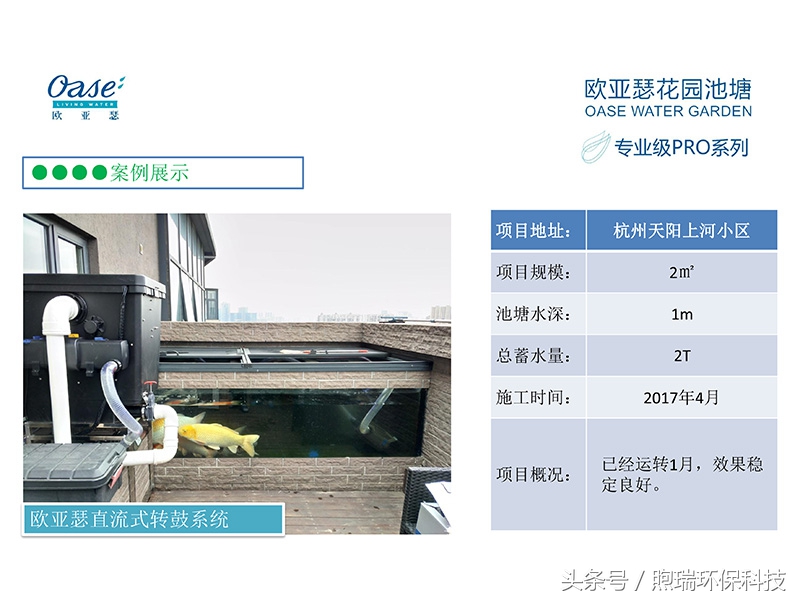 锦鲤鱼池生态循环过滤,锦鲤鱼池过滤系统视频